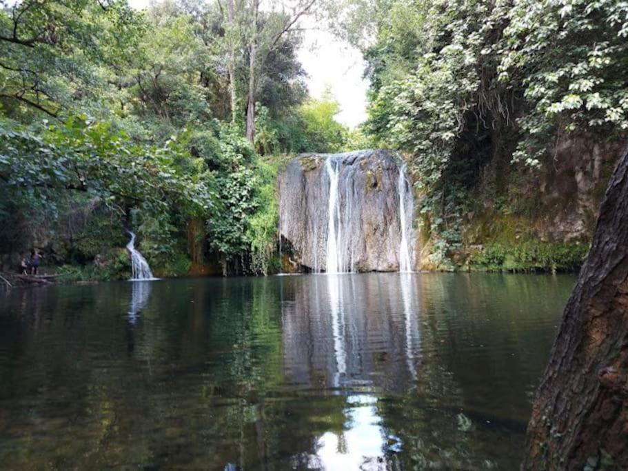 Finca Arep Alquiler Integro 6 Les Planes Les Planes de Hostoles Bagian luar foto